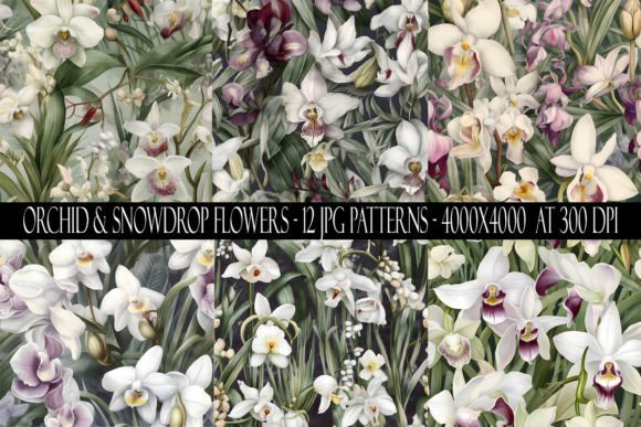 Orchid and Snowdrop Flower Patterns: A Versatile Design Resource for Creators